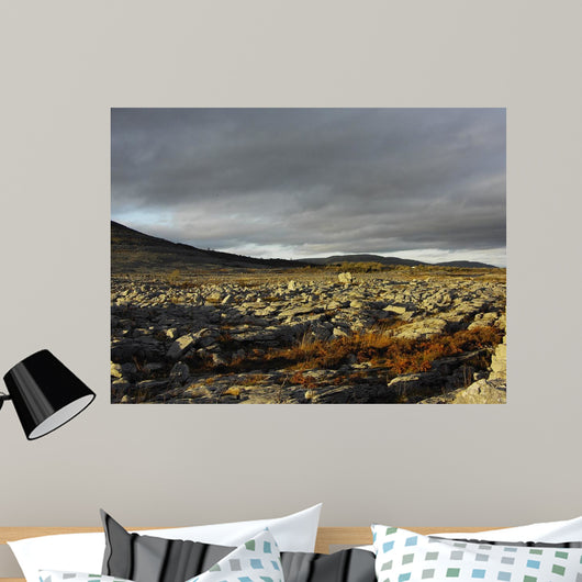 Burren Lanscape Wall Decal