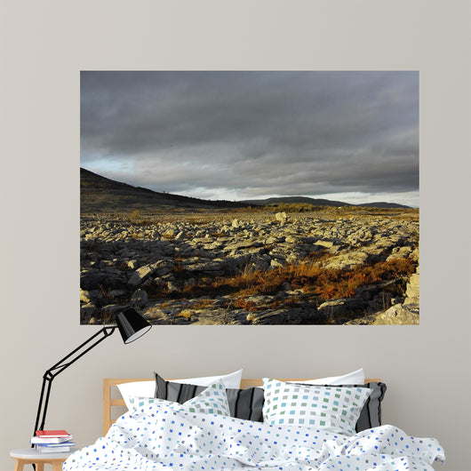 Burren Lanscape Wall Decal