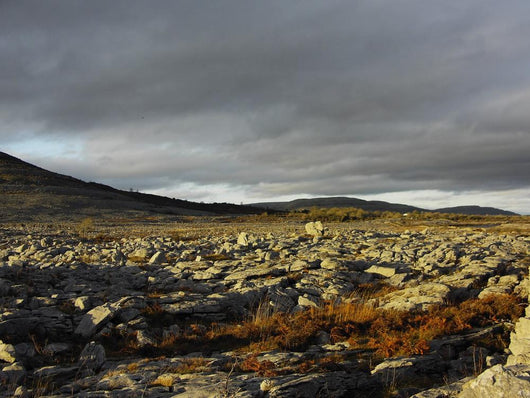 Burren Lanscape Wall Decal