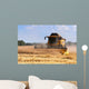 Combine Harvesting