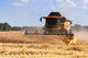 Combine Harvesting