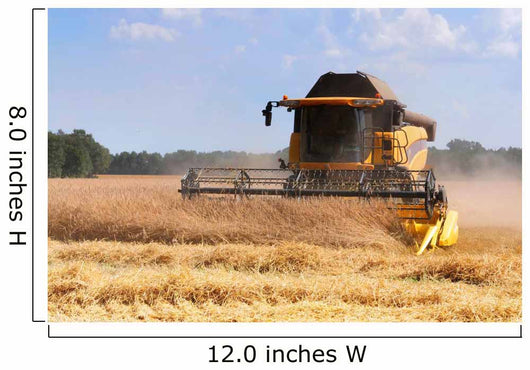 Combine Harvesting
