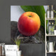 Apple Wall Mural