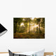 Sunbeams piercing the forest canopy of trees Wall Mural