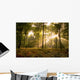 Sunbeams piercing the forest canopy of trees Wall Mural