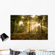 Sunbeams piercing the forest canopy of trees Wall Mural