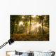 Sunbeams piercing the forest canopy of trees Wall Mural