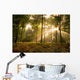 Sunbeams piercing the forest canopy of trees Wall Mural