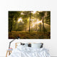 Sunbeams piercing the forest canopy of trees Wall Mural