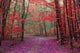Enchanted Forest Wall Decal