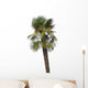 Palme Wall Mural