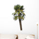 Palme Wall Mural