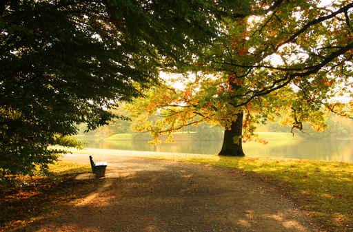 Bank im Park Wall Decal