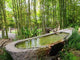 Japanese Garden San Francisco Wall Decal