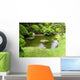 Japanese Garden Middle San Wall Decal