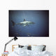 Great White Shark Wall Mural