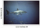 Great White Shark Wall Mural
