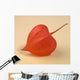 Lampignonblume Wall Mural