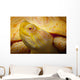 Albino Columbian Slider Wall Mural