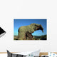 Rocco Sardinien Elephante Castelsardo Wall Decal