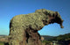 Rocco Sardinien Elephante Castelsardo Wall Decal