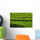 Maze Hedge Circled towards Wall Decal