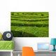 Maze Hedge Circled towards Wall Decal
