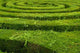 Maze Hedge Circled towards Wall Decal