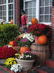 Atm Harvest101604 Wall Decal