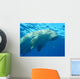 Dugong en surface, mer rouge Wall Mural