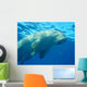 Dugong en surface, mer rouge Wall Mural