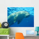 Dugong en surface, mer rouge Wall Mural