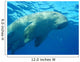 Dugong en surface, mer rouge Wall Mural