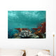 Underwater View of the Ocean Wall Mural