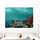 Underwater View of the Ocean Wall Mural