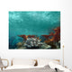 Underwater View of the Ocean Wall Mural