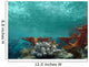 Underwater View of the Ocean Wall Mural