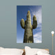 Saguaro Cactus Arizona