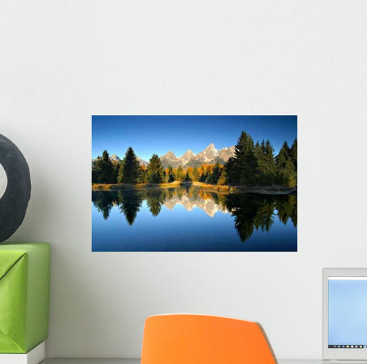 Touch Fall Wall Decal