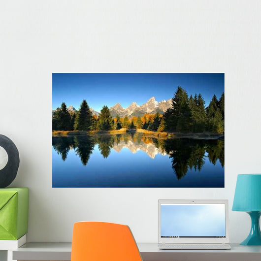 Touch Fall Wall Decal