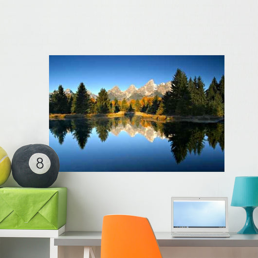 Touch Fall Wall Decal