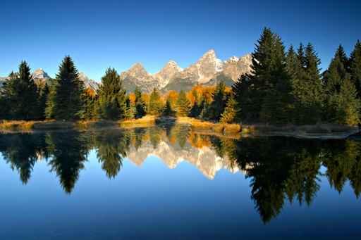 Touch Fall Wall Decal