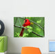 Cardinal Wall Mural