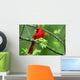 Cardinal Wall Mural