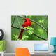 Cardinal Wall Mural