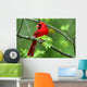 Cardinal Wall Mural