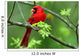 Cardinal Wall Mural