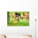 Boxer 34.2 Wall Mural
