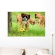 Boxer 34.2 Wall Mural