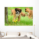 Boxer 34.2 Wall Mural